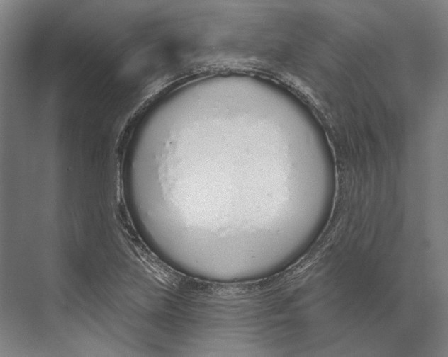 X0000073991219200609181734