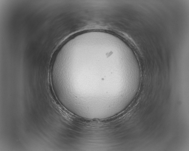 X0000073991220200609181734