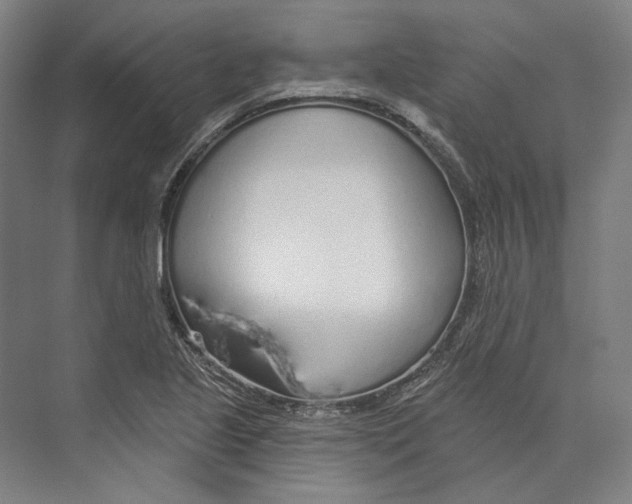 X0000073991221200609181734