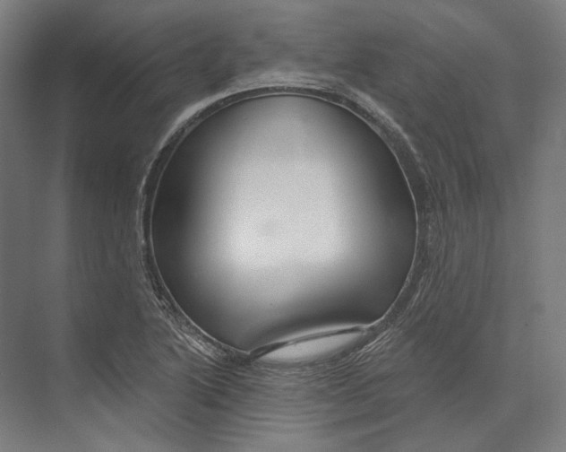 X0000073991222200609181734