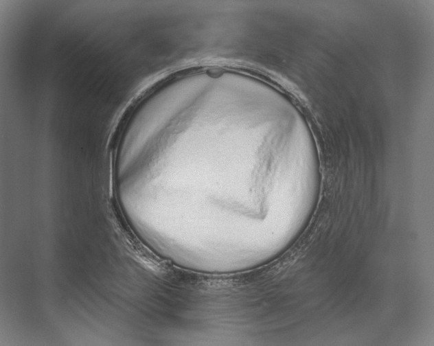 X0000073991223200609181734