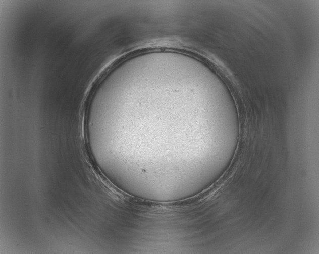 X0000073991224200609181734