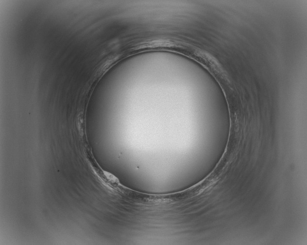 X0000073991225200609181734