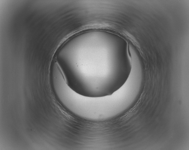 X0000073991226200609181734