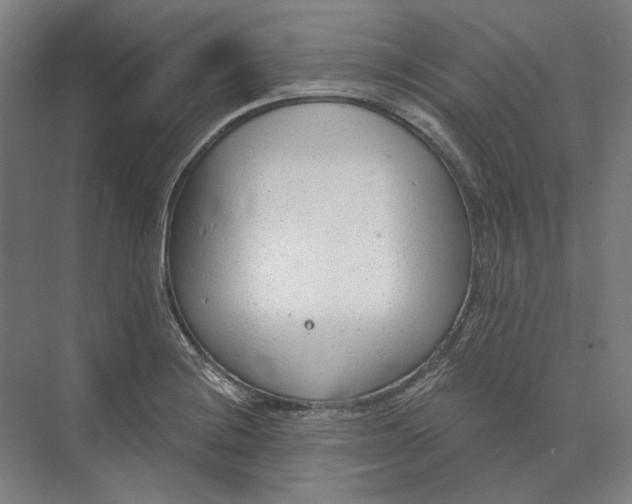 X0000073991228200609181734