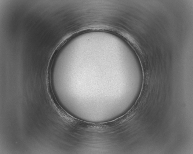 X0000073991229200609181734