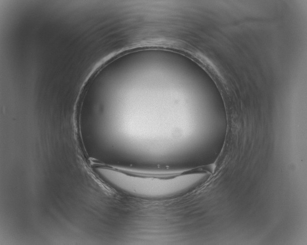 X0000073991230200609181734