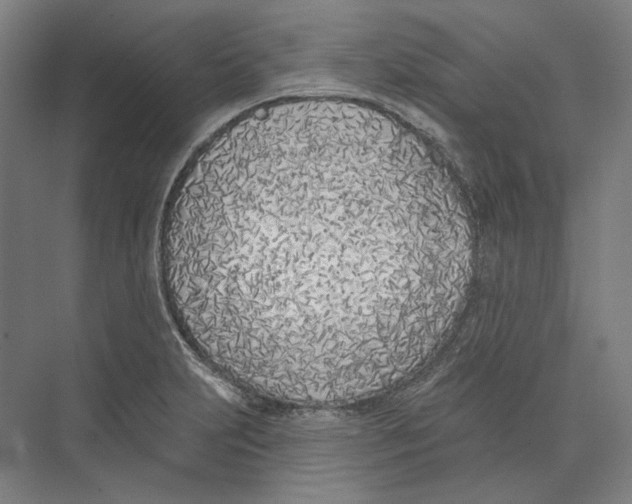 X0000073991231200609181734