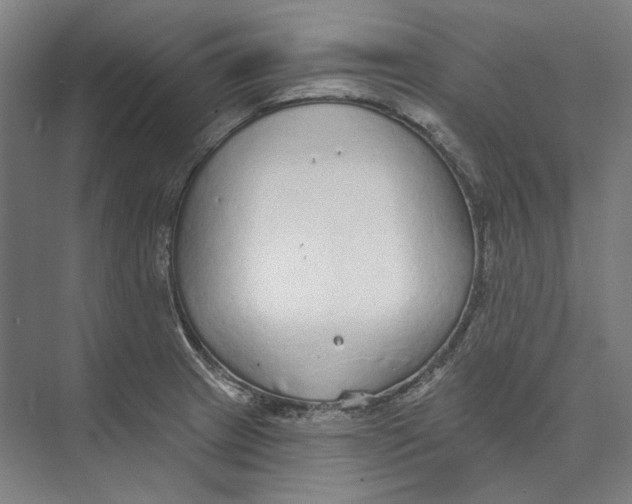 X0000073991233200609181734