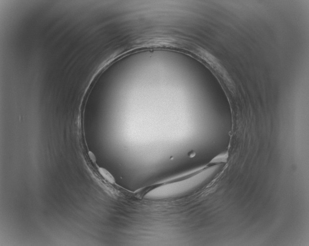 X0000073991234200609181734