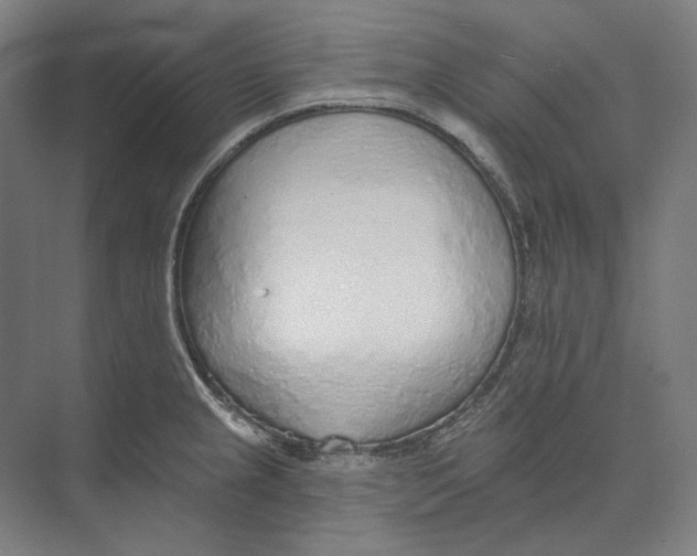 X0000073991237200609181734