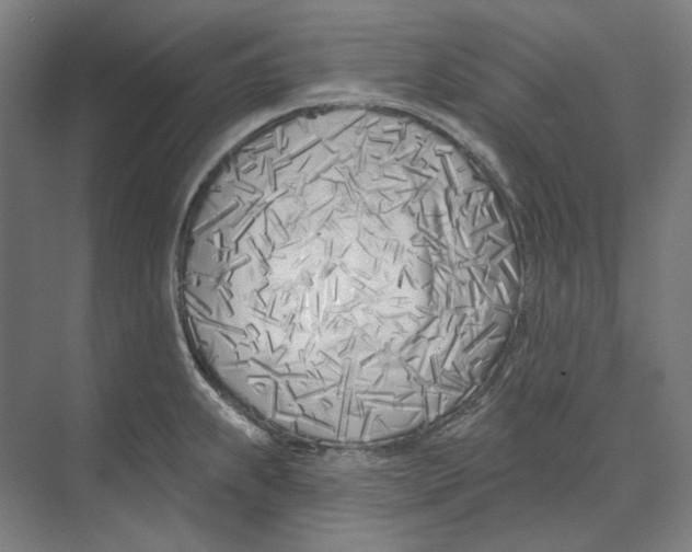 X0000073991239200609181734