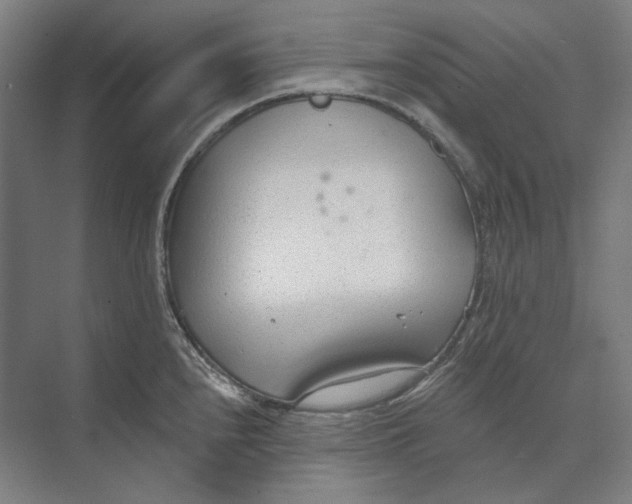 X0000073991240200609181734