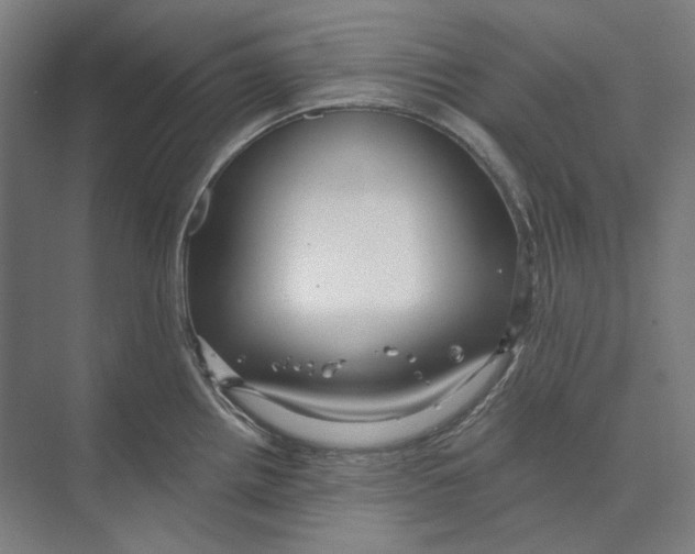 X0000073991242200609181734