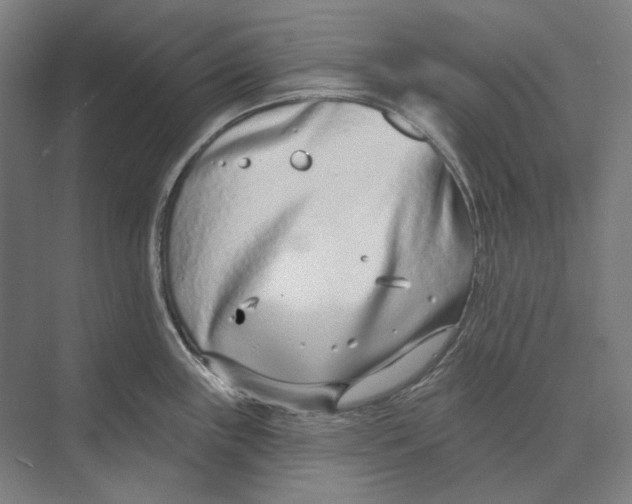 X0000073991243200609181734