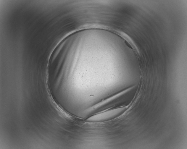 X0000073991244200609181734