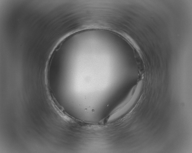 X0000073991246200609181734