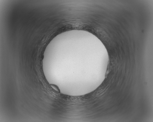 X0000073991249200609181733