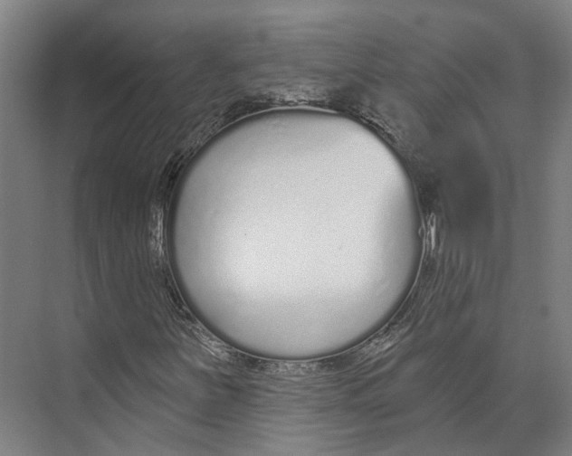 X0000073991251200609181733