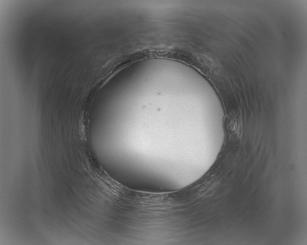 X0000073991252200609181733