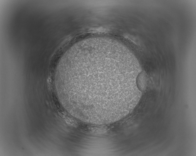 X0000073991254200609181733