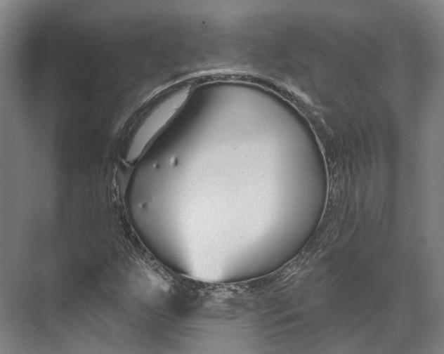 X0000073991255200609181733