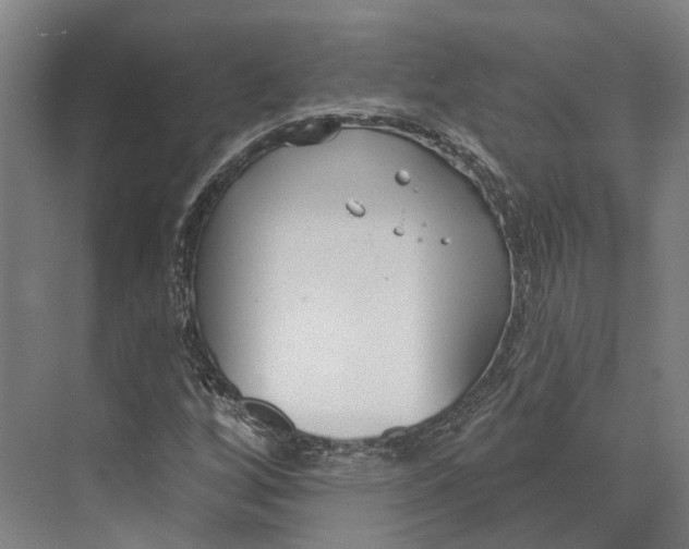 X0000073991256200609181733