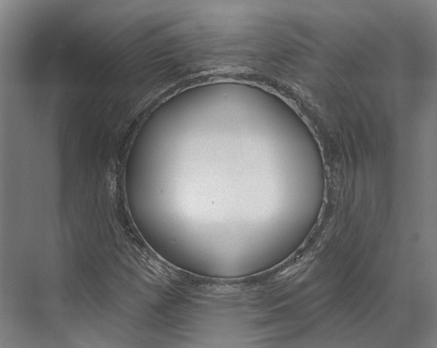 X0000073991257200609181733