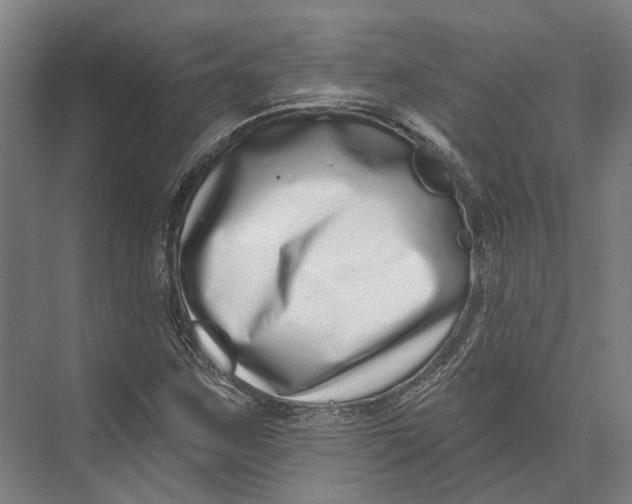 X0000073991259200609181733