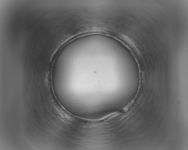 X0000073991260200609181733