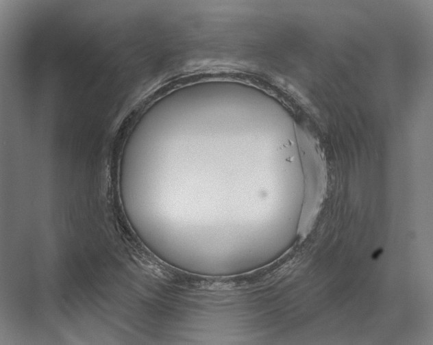 X0000073991261200609181733