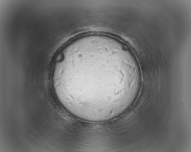 X0000073991263200609181733