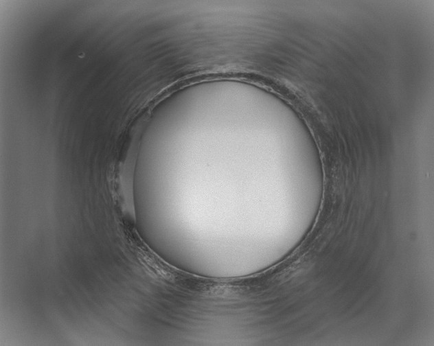 X0000073991265200609181733