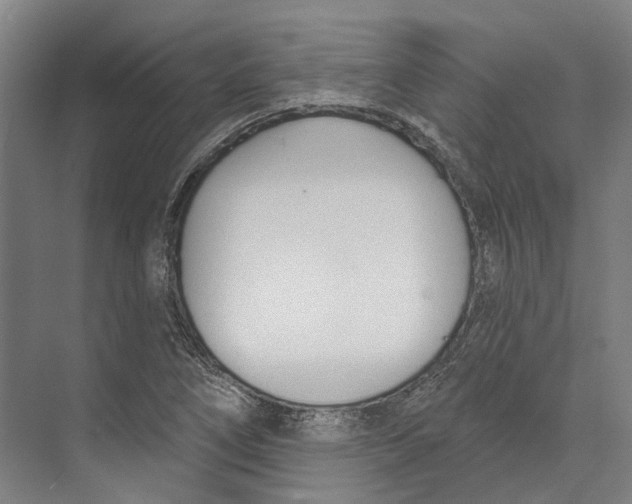 X0000073991266200609181733