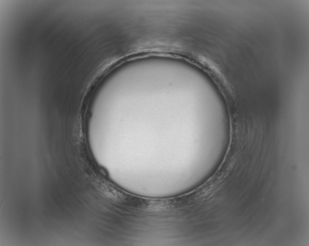 X0000073991267200609181733