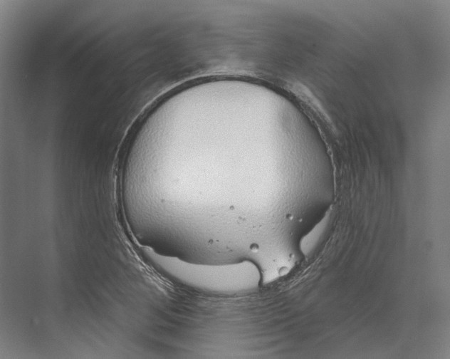 X0000073991268200609181733