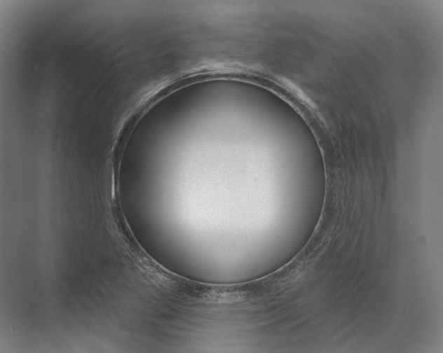 X0000073991269200609181733