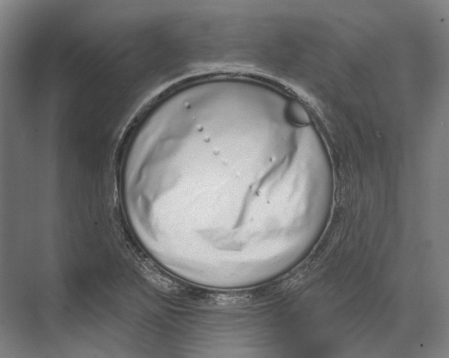 X0000073991271200609181733