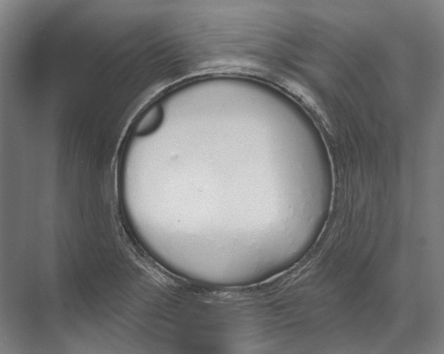 X0000073991275200609181733