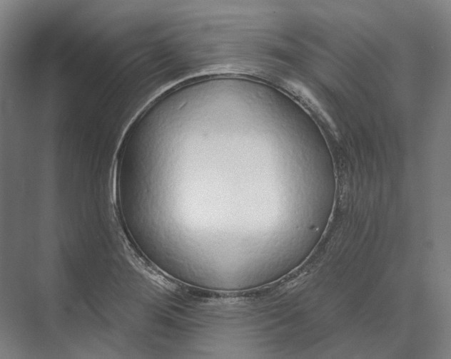 X0000073991276200609181733