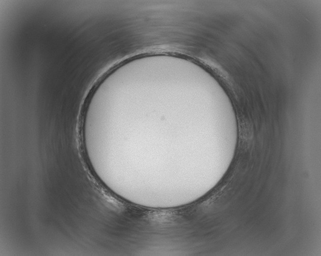 X0000073991278200609181733