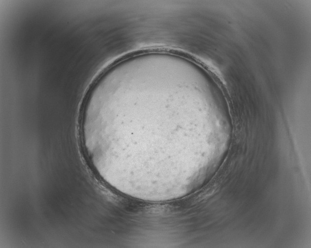 X0000073991279200609181733