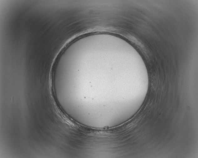 X0000073991280200609181733