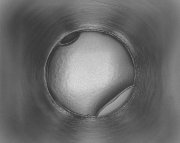 X0000073991283200609181733