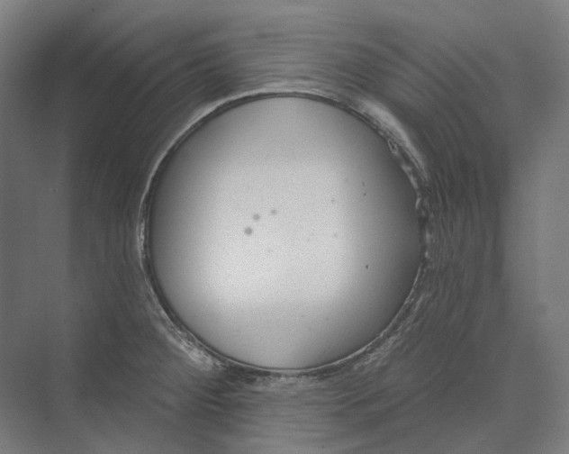 X0000073991284200609181733