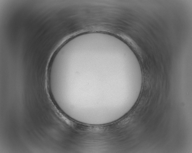 X0000073991286200609181733