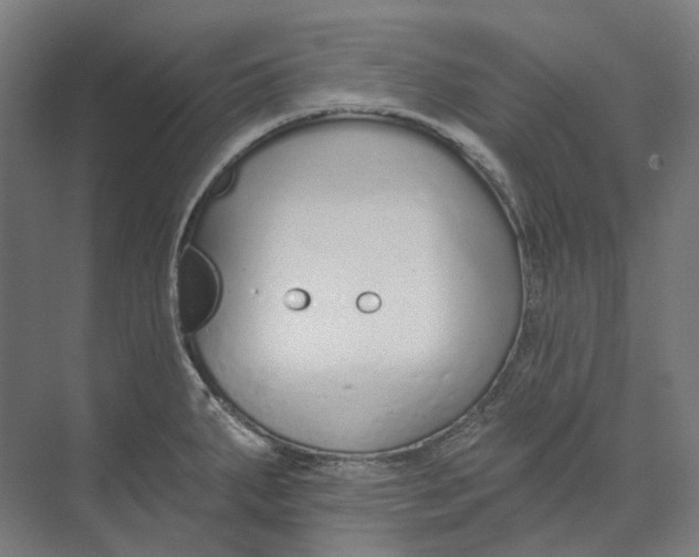 X0000073991287200609181733