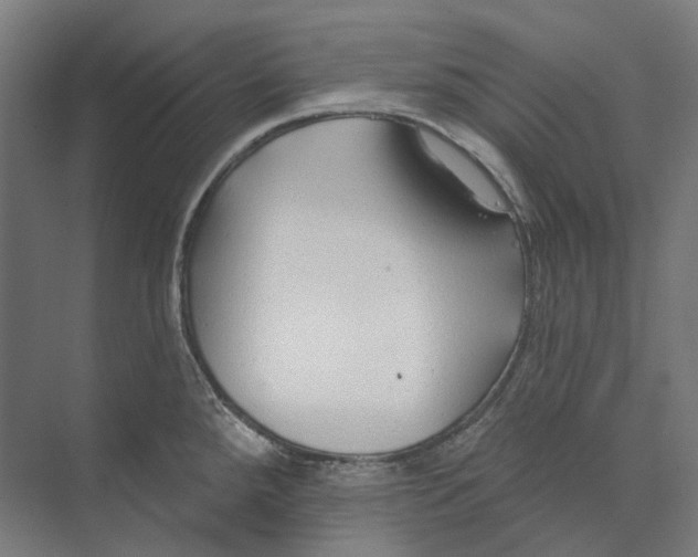 X0000073991288200609181733