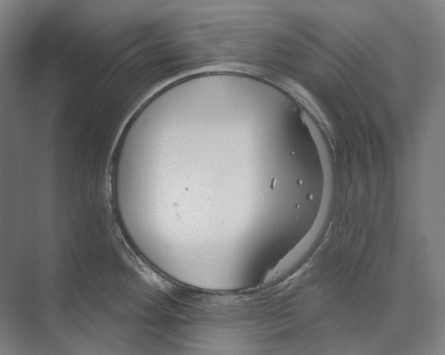 X0000073991292200609181733