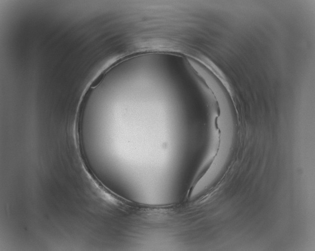 X0000073991293200609181733